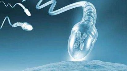 试管双胎风险有多大