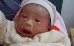 怀孕能不能养猫看央视辟谣！关于猫的民间说法真不要信