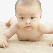 试管婴儿成功后孕12周nt检查数值为1.6mm胎儿正常吗？