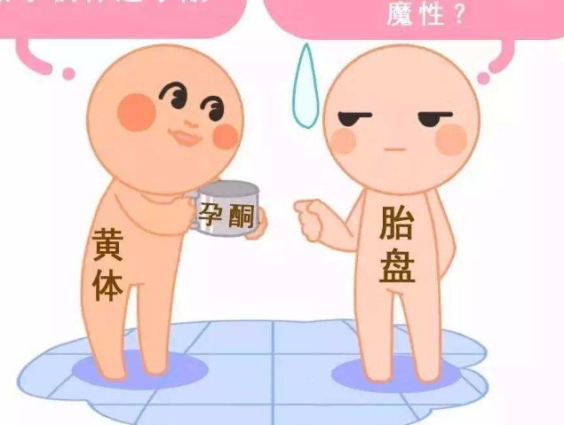 第三代试管婴儿的适应症是什么？