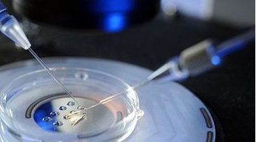 在海口玛丽医院做试管婴儿要多少钱？成功率怎么样？附试管怀孕机构名单一览