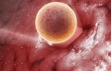 排卵障碍不容忽视，不孕大多是其原因！扶余市哪家医院擅长排卵障碍试管方案？